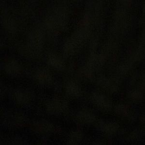 Meet your Posher, Shane